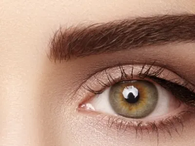 banner browlash